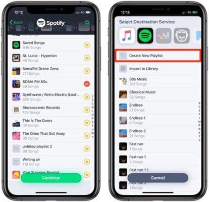 Can You Transfer Apple Music to Spotify? A Detailed Exploration of Music Transfer Options