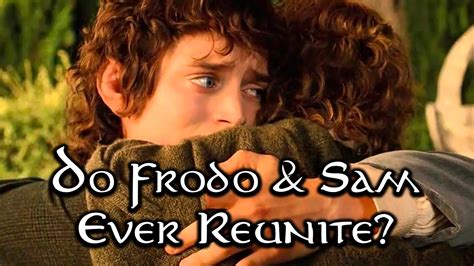 does frodo survive to see the return of the rings