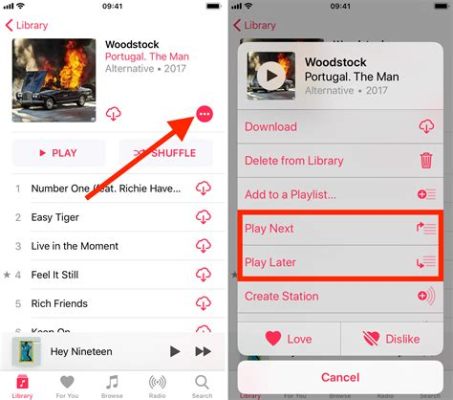 how to add songs to apple music: Exploring the Intricacies of Building Your Perfect Playlist